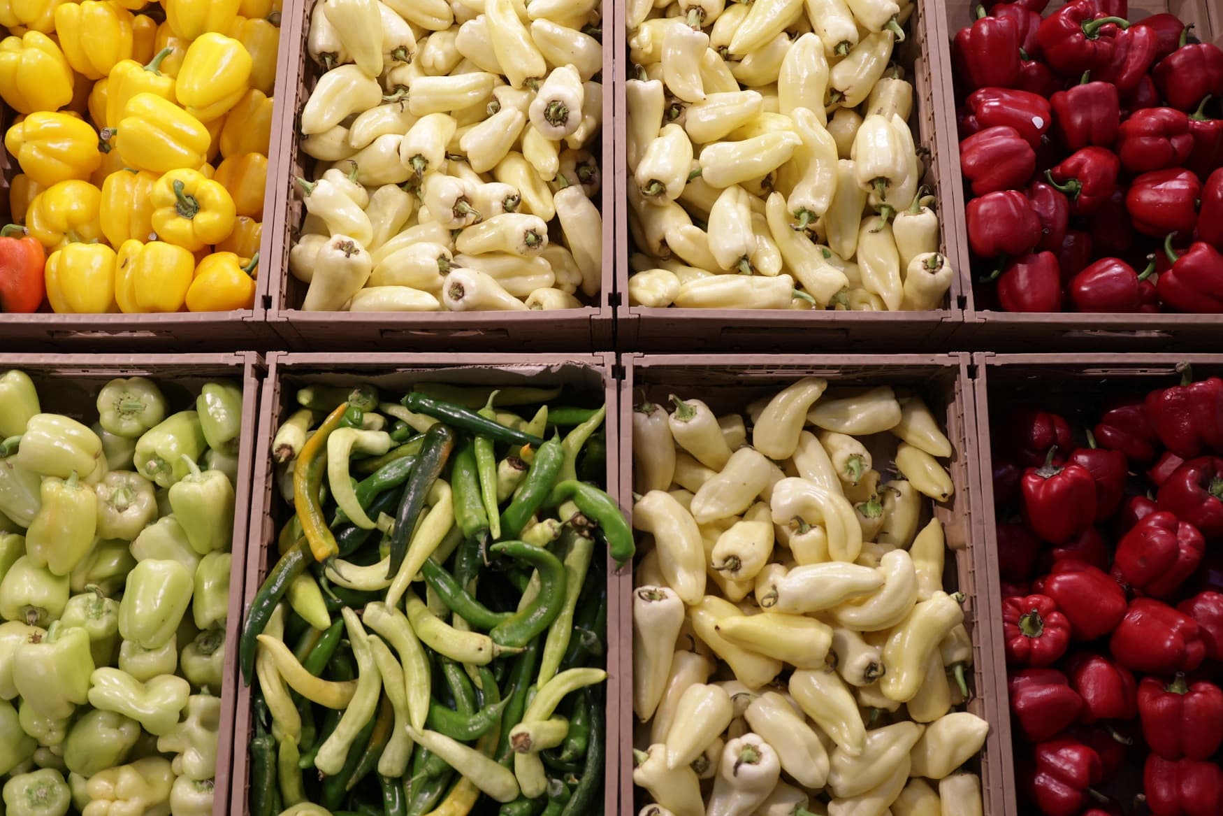 أسعار الغذاء العالمية في أكتوبر تصل لأعلى مستوى في 18 شهرا