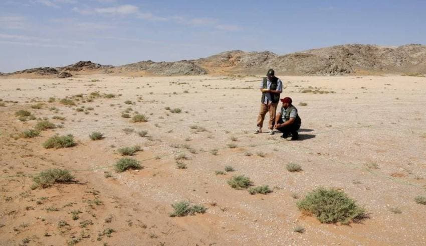 السعودية للعالم.. التصحر ظاهرة طبيعية وليس قدرا محتوما