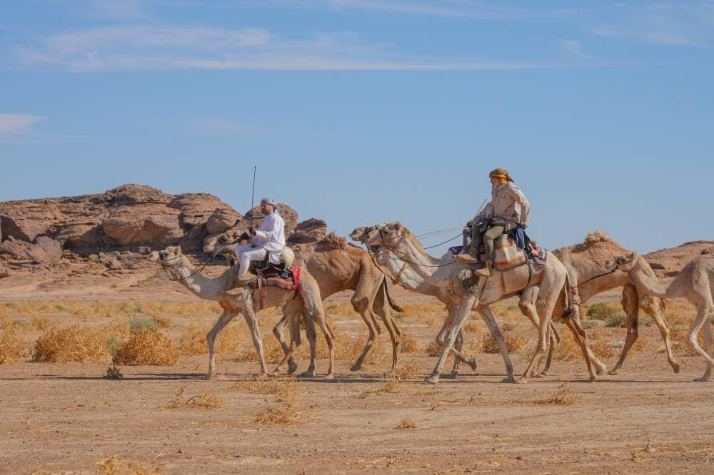 رحالة بريطانيون يقطعون 500 كلم داخل محمية الملك سلمان