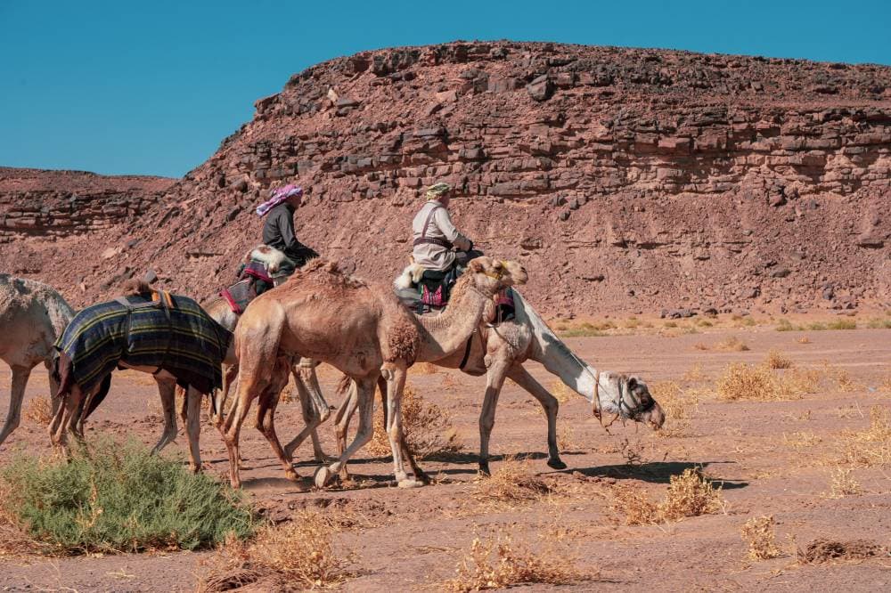 رحالة بريطانيون يقطعون 500 كلم داخل محمية الملك سلمان