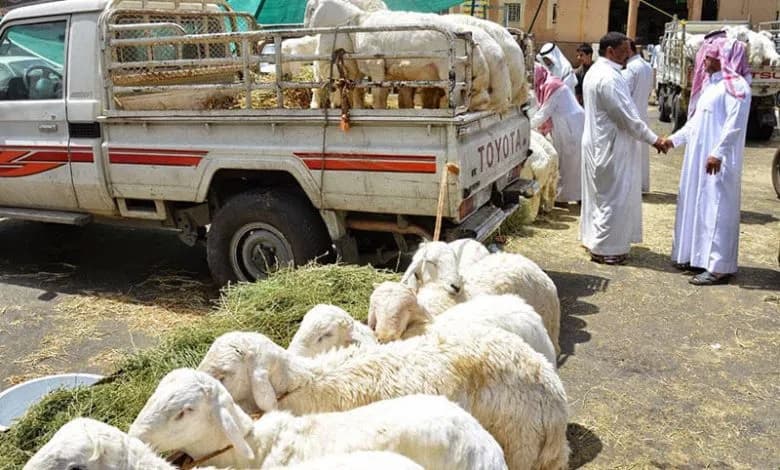 سوق العزيزية في الرياض أولى الأسواق تطبيقا لبيع المواشي الحية بالوزن