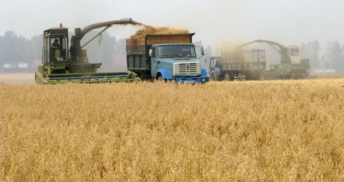 تراجع مؤشر أسعار الغذاء العالمية في ديسمبر بفضل انخفاض السكر