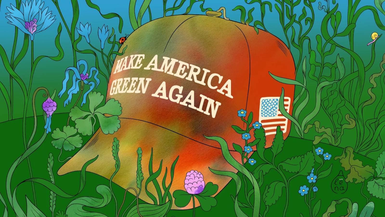 مستثمرو القطاعات الخضراء يرون بصيص أمل في رئاسة ترمب