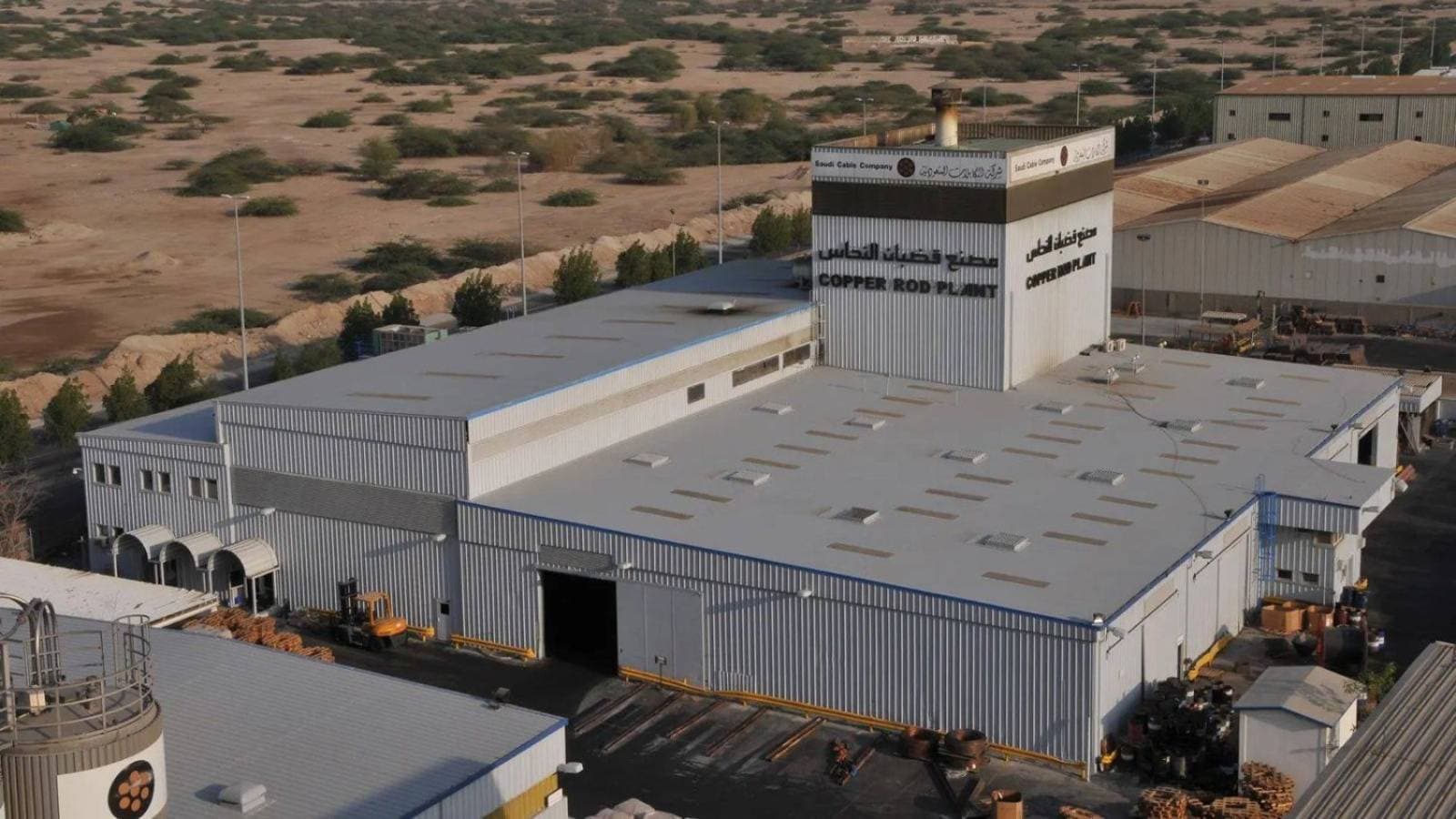 "الكابلات": القضاء يعزل أمين "الإفلاس" لمخالفته النظام ويبطل إجراءاته