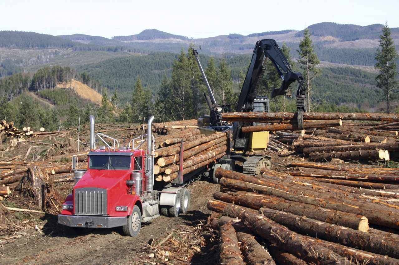 3 عناصر يضعها تحالف منابع الأمازون لولادة اقتصاد متجدد في أمريكا اللاتينية