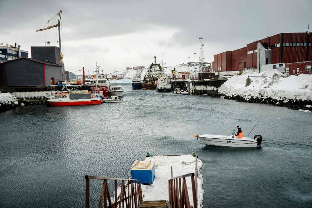 ماذا تريد واشنطن من جرينلاند؟