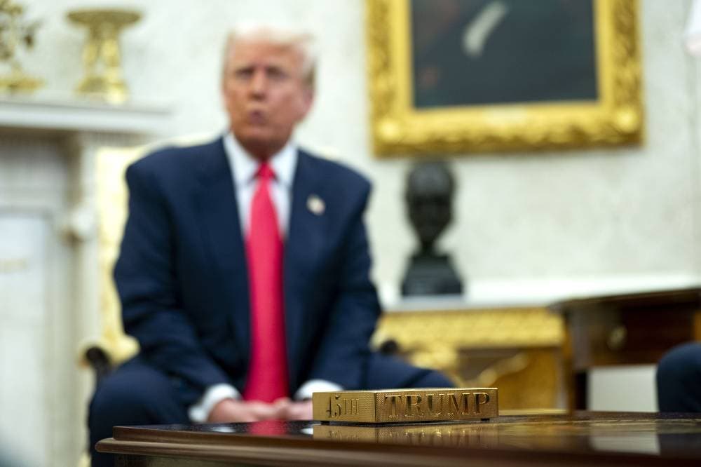 ترمب: لن يُطرد أحد من غزة .. ووزراء خارجية العرب يواصلون التشاور مع مبعوثه