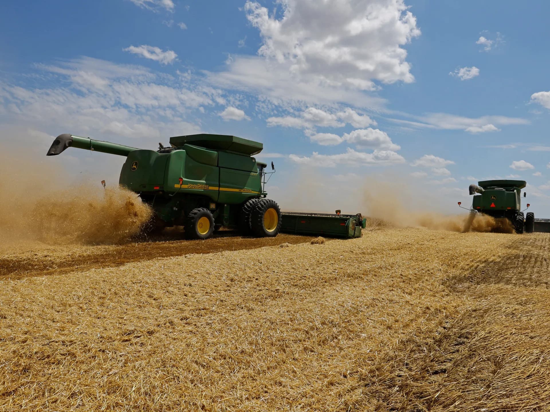 أسعار القمح تواصل الصعود بفعل الظروف المناخية السيئة وإمدادات العالم في خطر