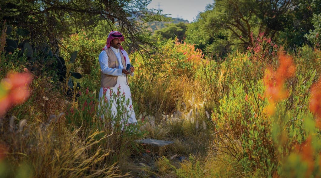 قريبا .. إطلاق منصة إلكترونية لمتابعة مشاريع التشجير في السعودية