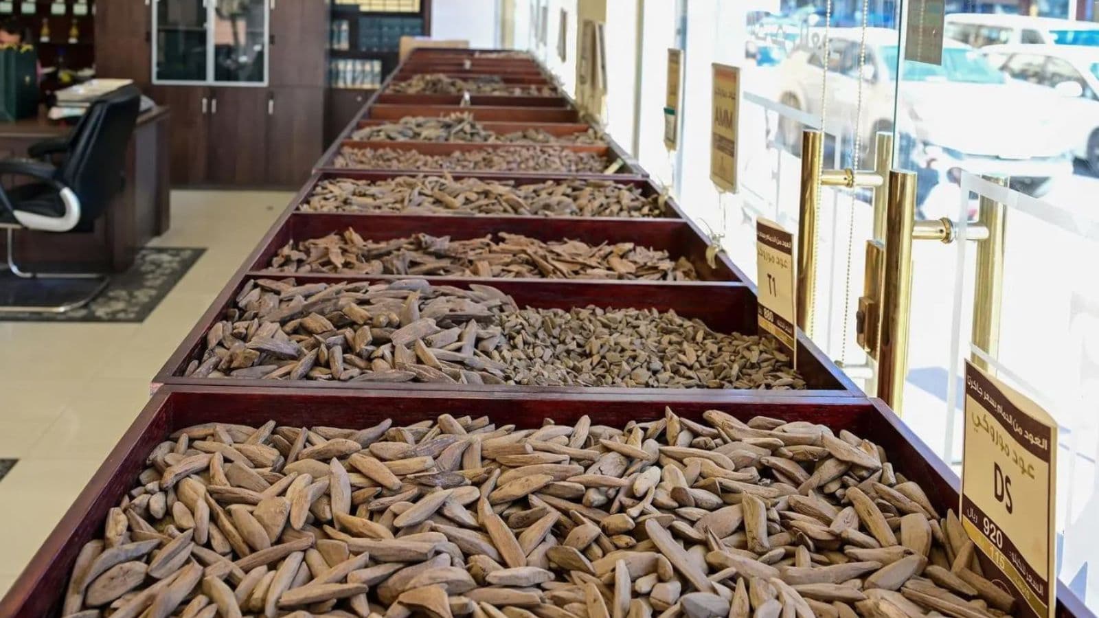 السعودية تتجه إلى زراعة العود مع تجاوز الطلب المحلي 5 مليارات ريال سنويا