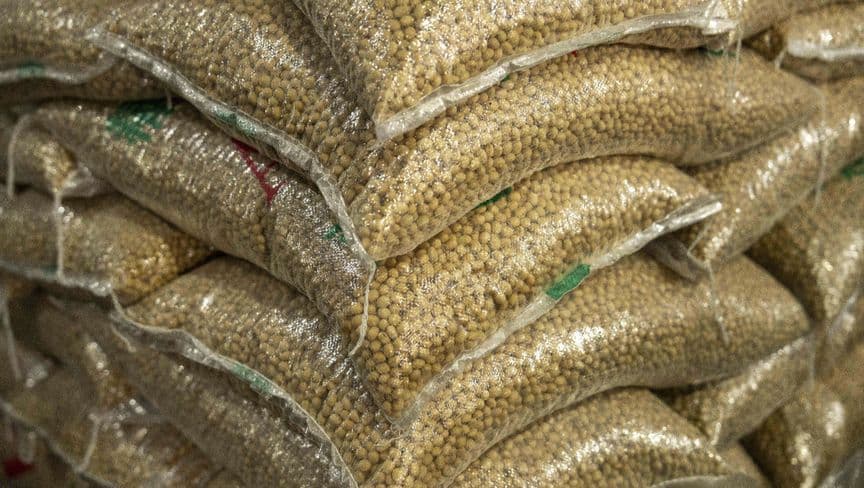 صادرات أمريكا الزراعية في مهب العقوبات مع بدء انتقام الصين