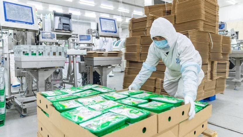 "إنتاج" السعودية تستقبل طلبات اكتتاب بـ 1.4 مليار ريال من الأفراد