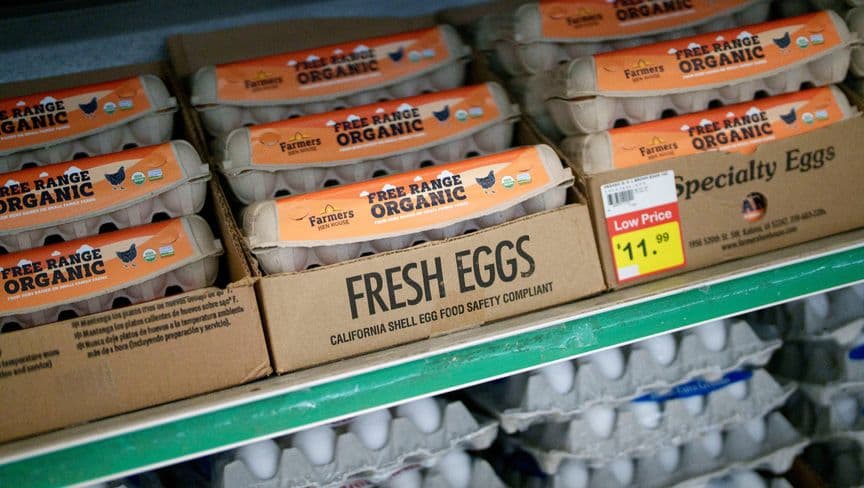 أمريكا تحقق مع شركات بدعوى احتكار ورفع أسعار البيض