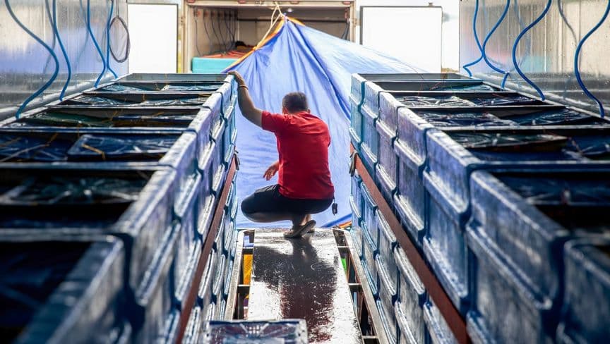 آسيا تدفع ثمن الرسوم وتوقعات النمو عند أدنى مستوى منذ كورونا