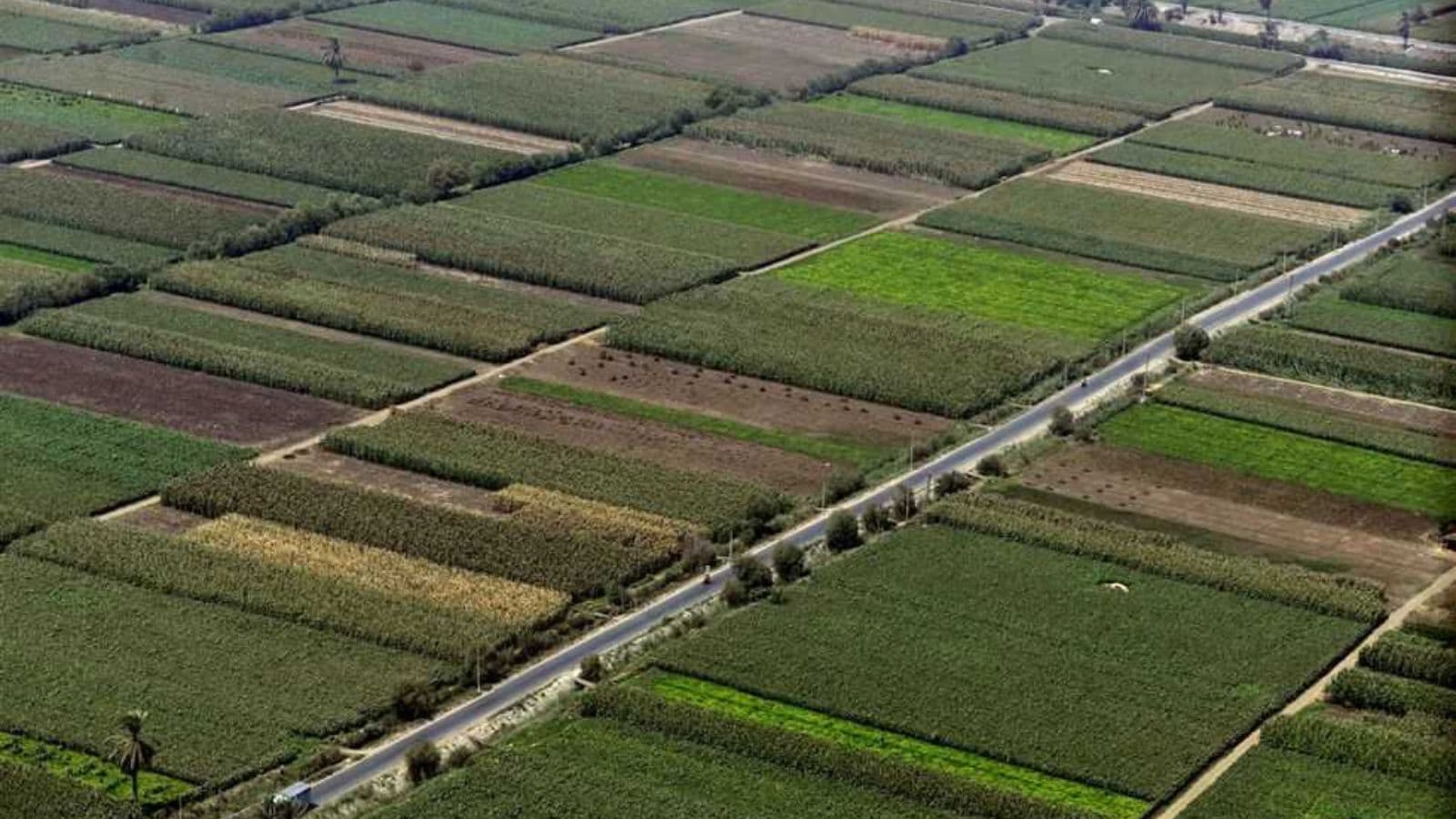 "رخاء" السعودية تعتزم طرح 30% من أسهمها في بورصة مصر في 2025