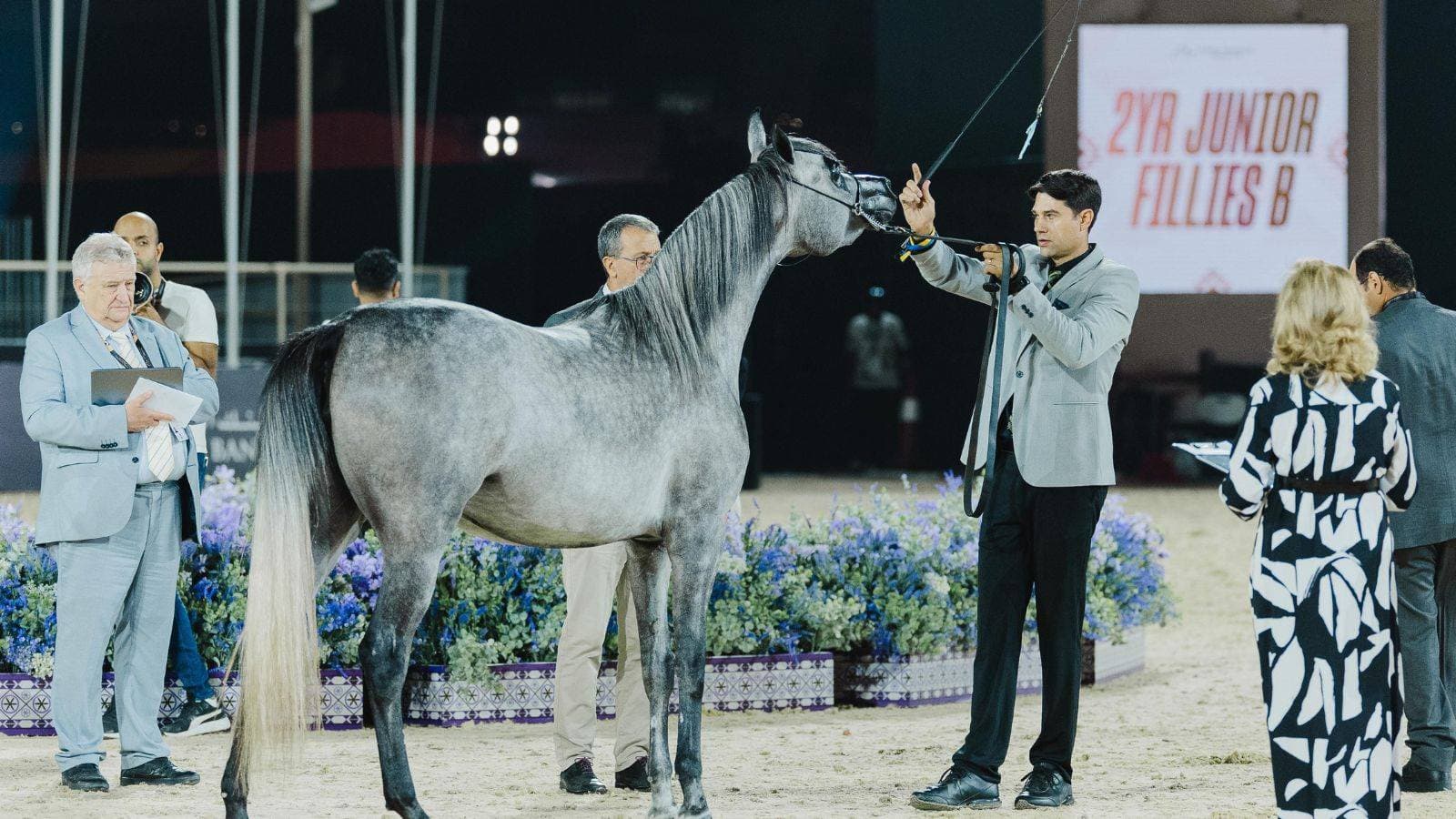 انطلاق "جولة الرياض" للجياد العربية غدا بجوائز مالية تتجاوز 98 مليون ريال