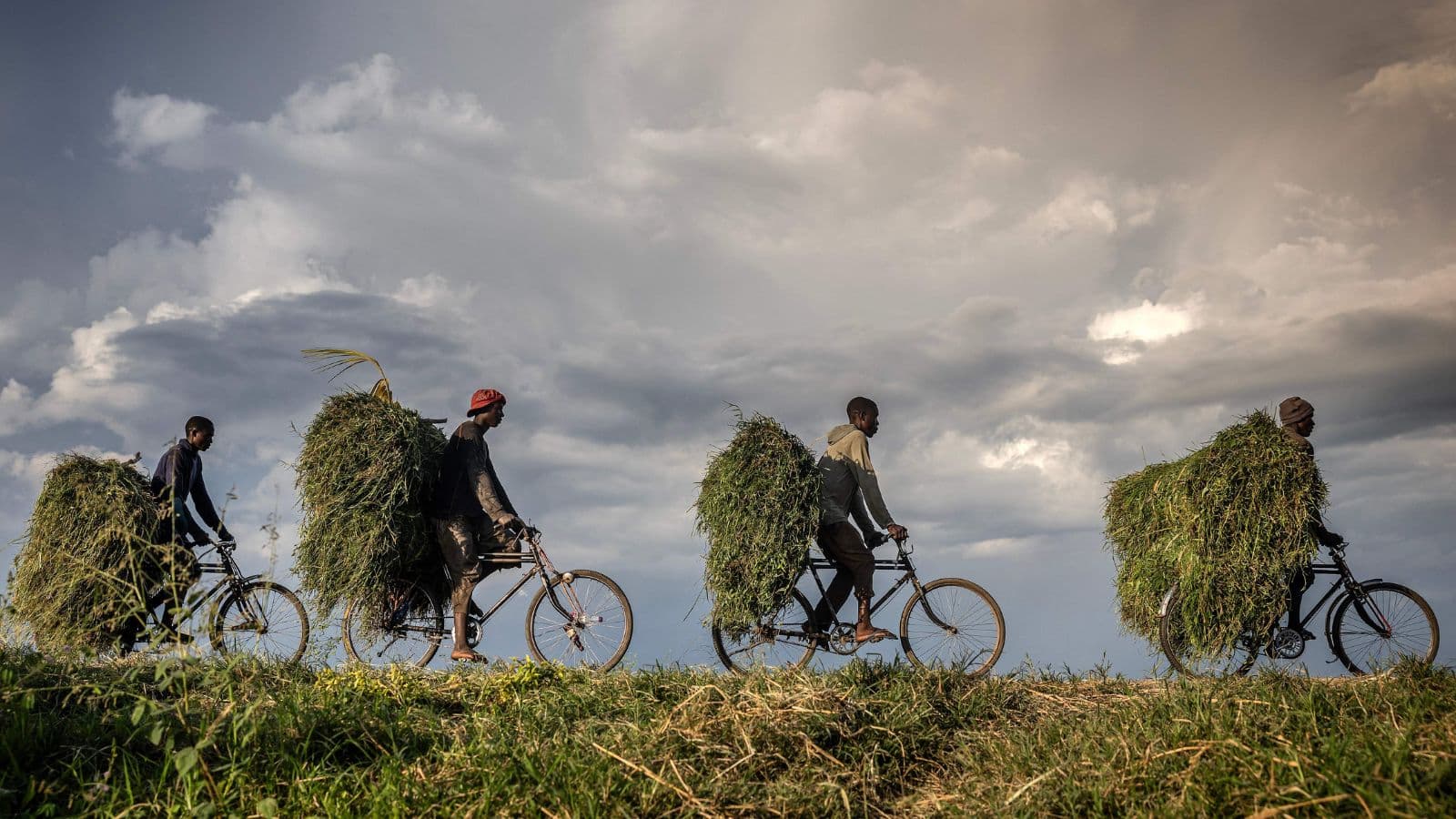 النقل على الدراجة الهوائية