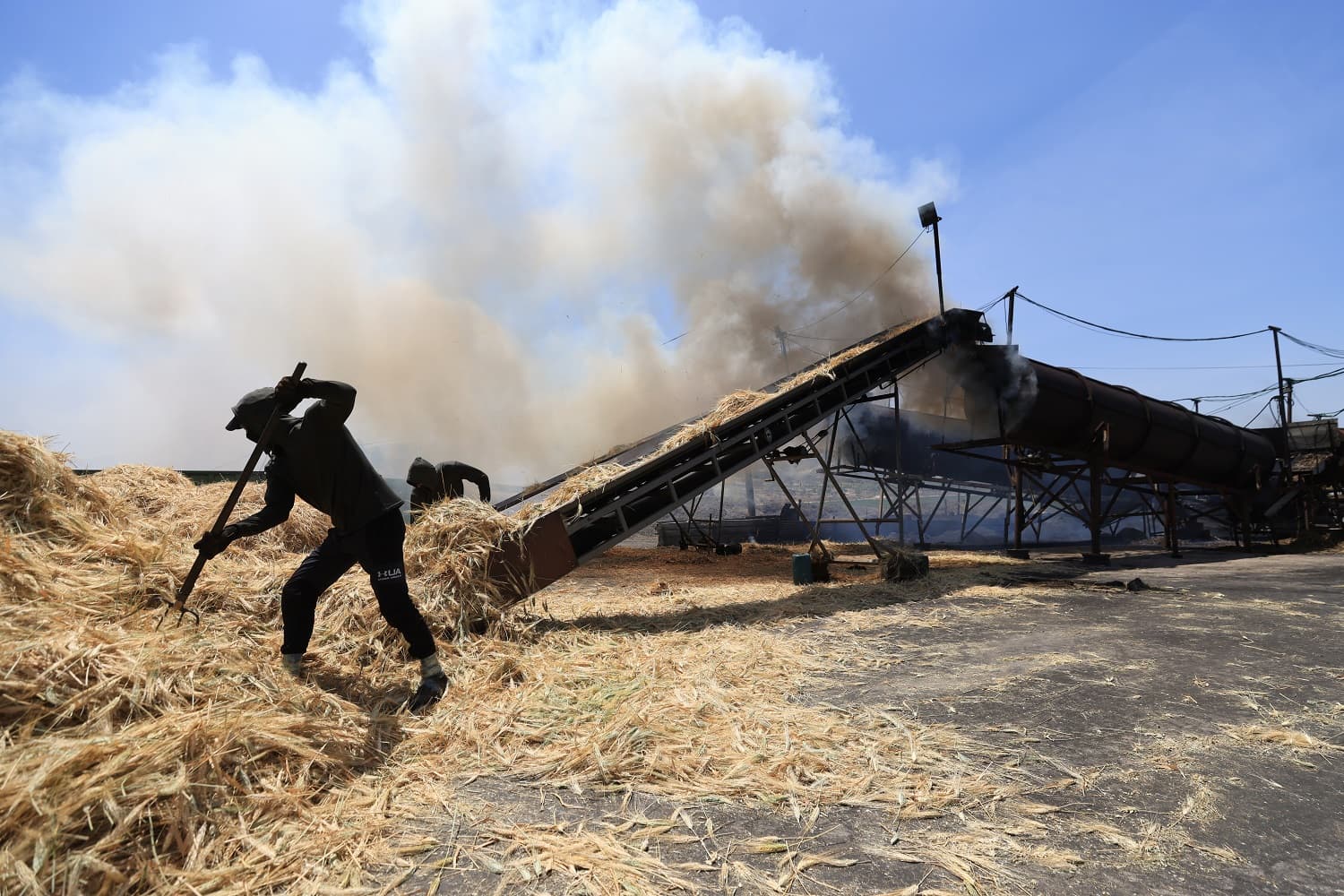 نار وحصاد أخضر