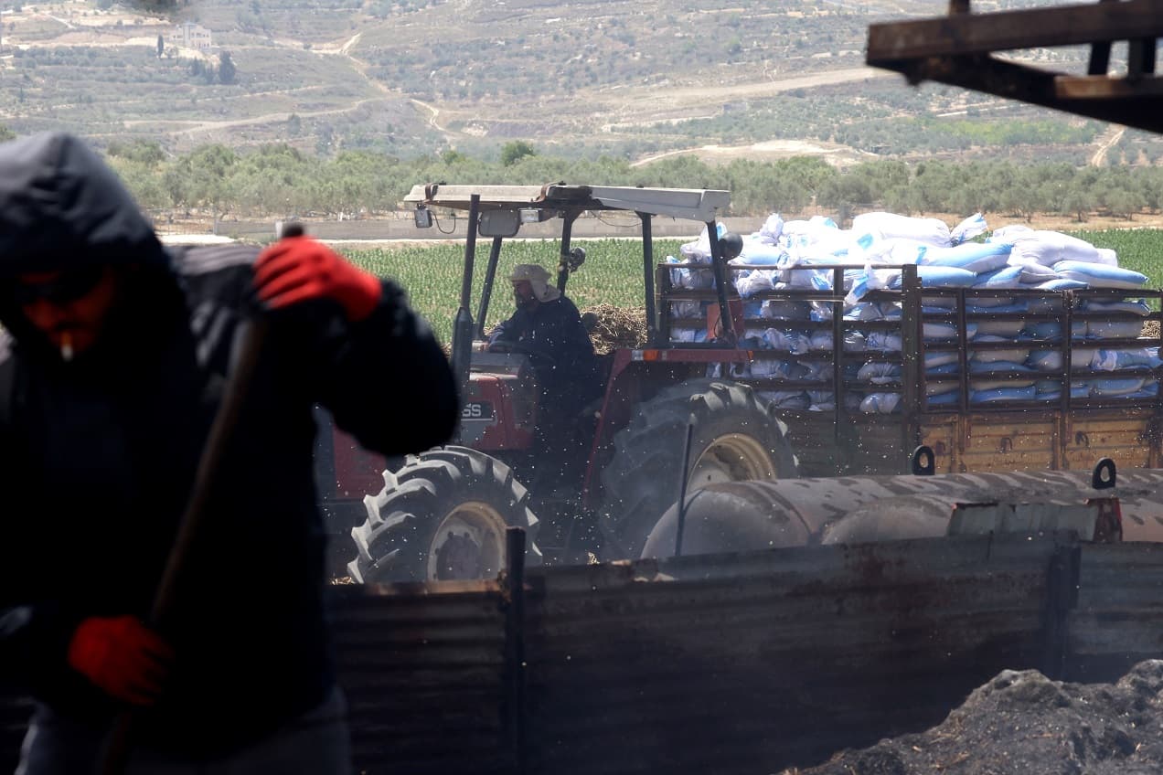 نار وحصاد أخضر