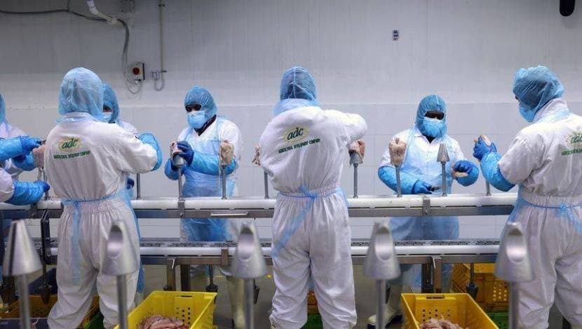 مساع لاستقطاب شركات برازيلية غذائية لإنشاء مصانع لها في السعودية