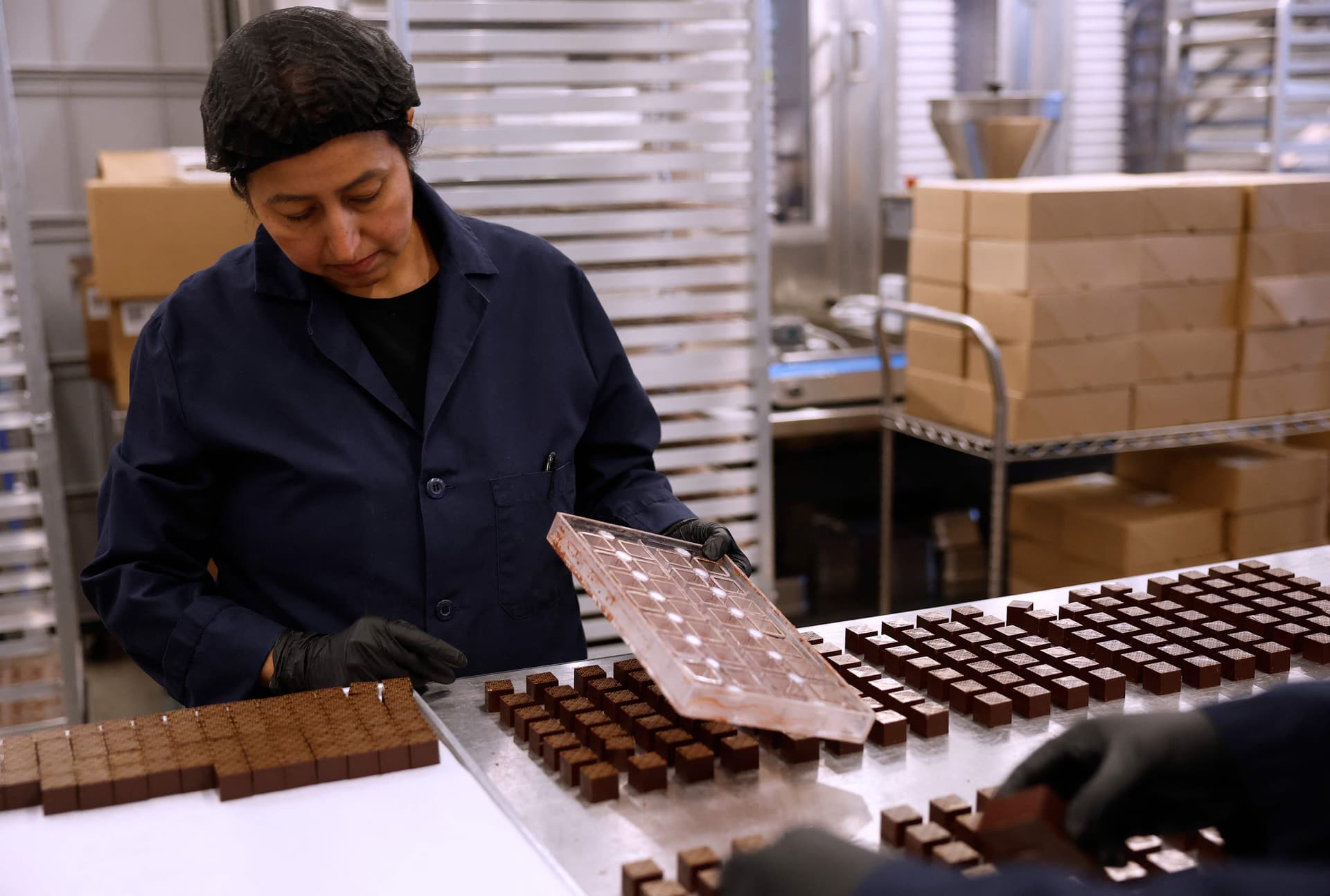 تراجع إنتاج الكاكاو