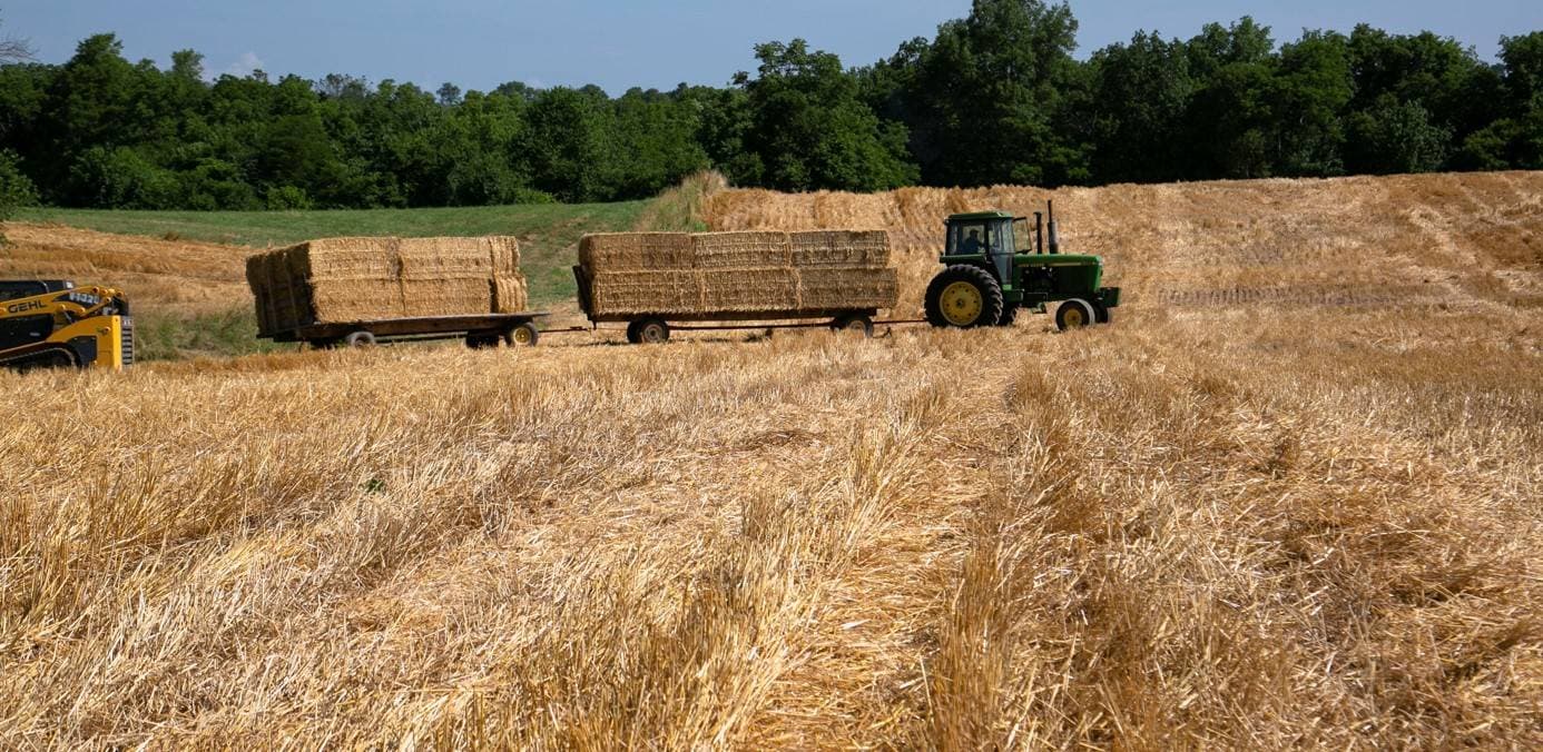 "فاو": زيادة أسعار الغذاء العالمية في أبريل مدفوعة بارتفاع الحبوب واللحوم