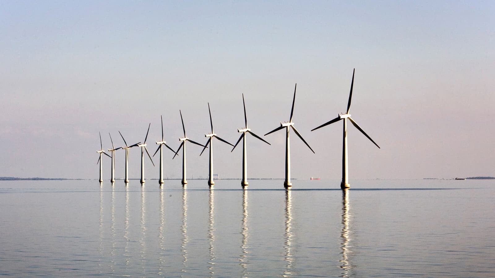 رغم نمو المصادر المتجددة .. معهد الطاقة: الوقود التقليدي ما زال مهيمنا على السوق