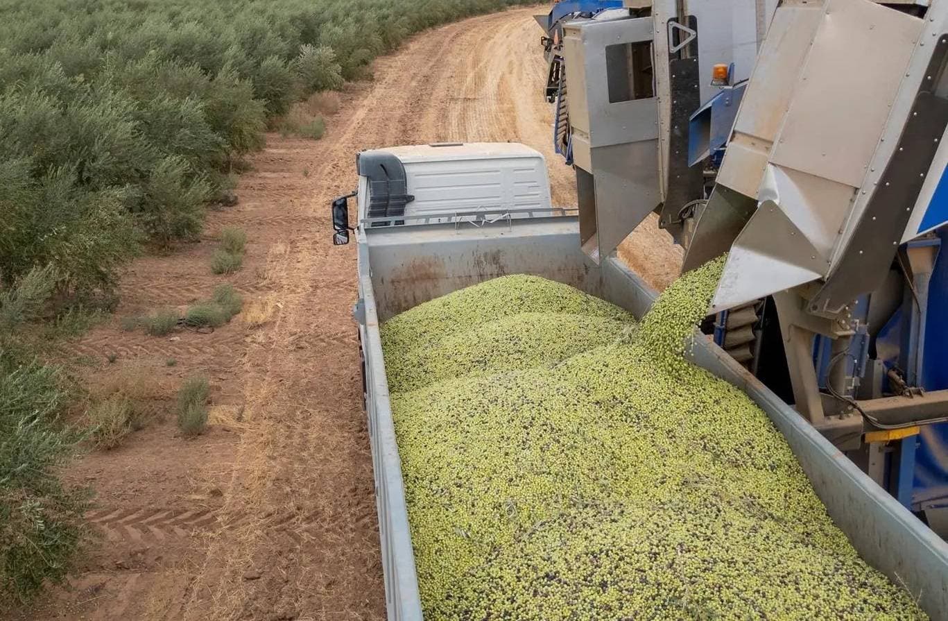 الصندوق الزراعي السعودي يخفض القروض المستحقة إلى 2.2 مليار ريال 