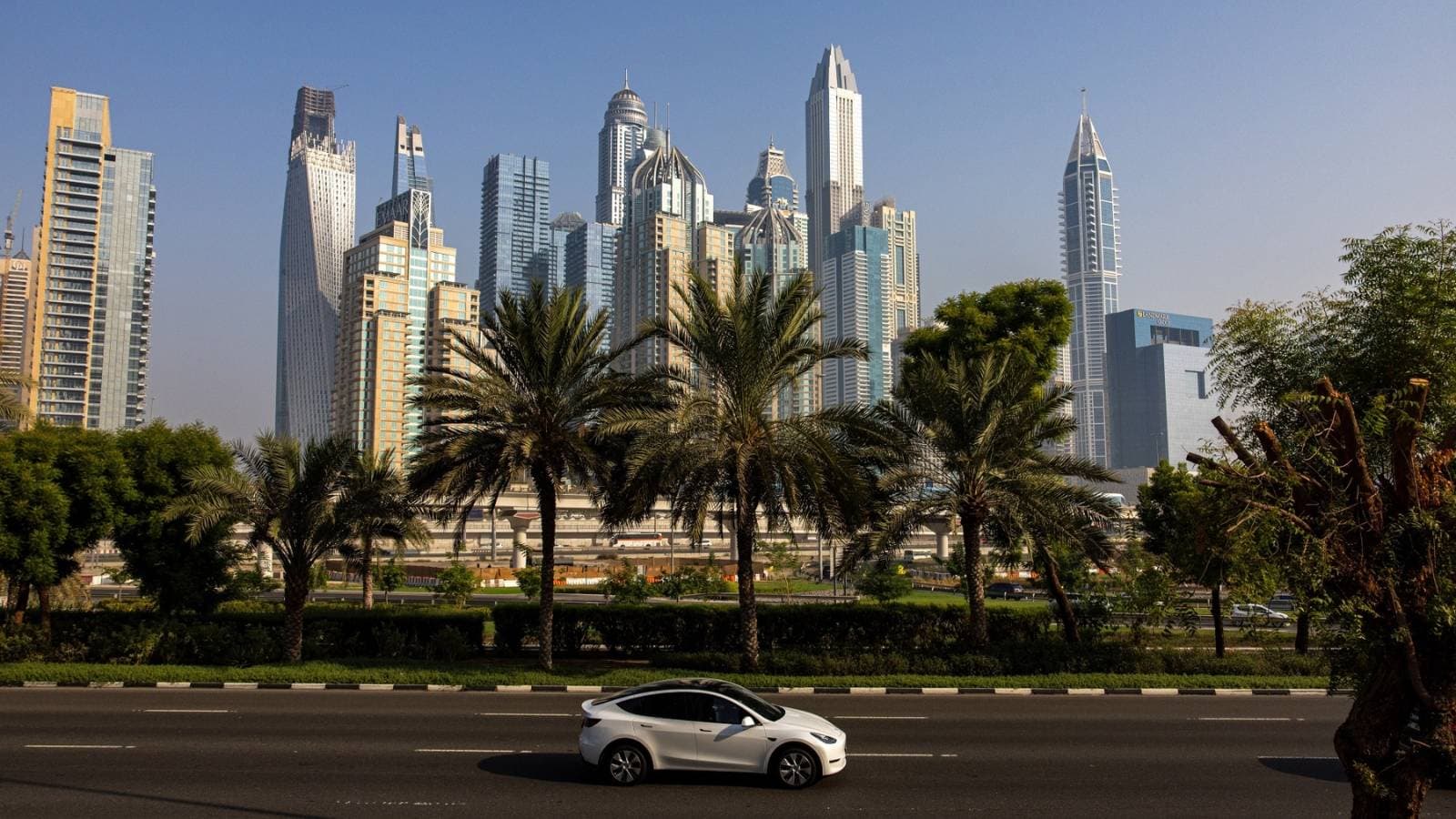 القصبي: نظام المعالجات التجارية يساعد في تنافسية المنتجات الوطنية