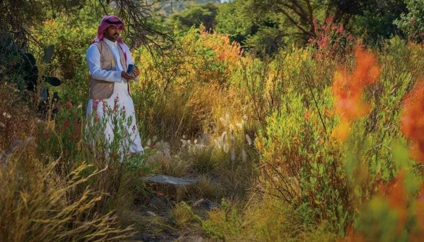 السعودية تعيد تأهيل 500 ألف هكتار من الأراضي ضمن برنامجها الوطني للتشجير