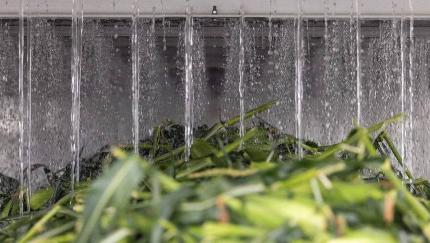 على رأسها الذهب والذرة .. أهم 5 سلع تجذب اهتمام الأسواق هذا الأسبوع