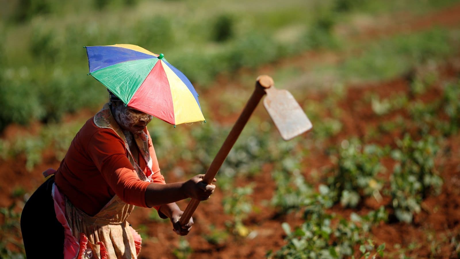 جنوب إفريقيا تبحث عن مشترين آسيويين لمحاصيلها بعد رسوم ترمب