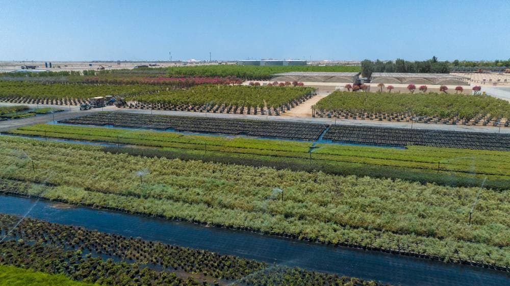 "البيئة" لـ⁧"الاقتصادية"‬⁩: مسرّعة "سدرة" تحتضن 10 شركات ناشئة باستثمار 7 ملايين دولار