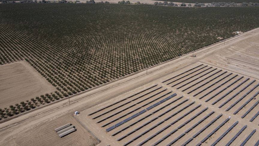 إدارة ترمب تحظر إنشاء مشروعات الطاقة النظيفة على الأراضي الزراعية