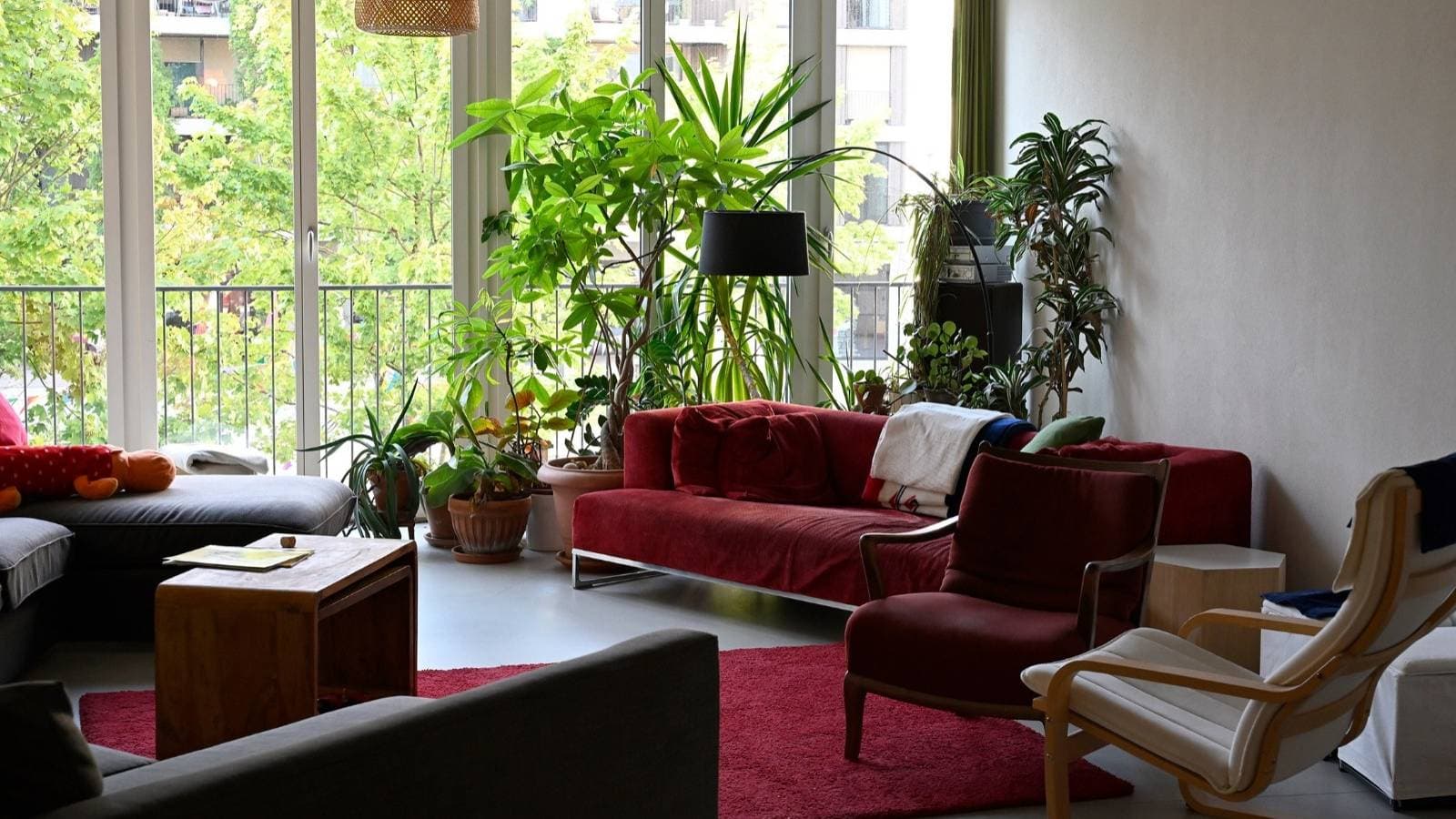 ظاهرة الشقق "العنقودية" تزدهر .. هل ترغب بالعيش مع 12 غريبا؟