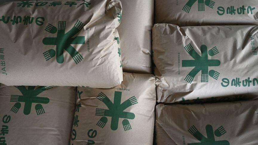 "الأرز" يدفع كبير مفاوضي اليابان إلى إلغاء زيارته لأمريكا