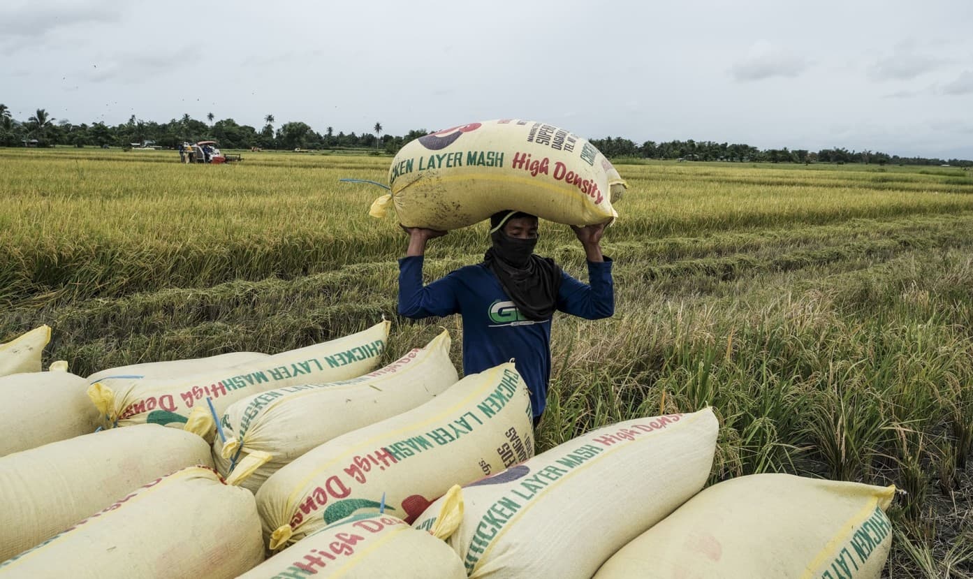 "فاو": أسعار الغذاء العالمية ارتفعت لأعلى مستوى خلال عامين في يوليو