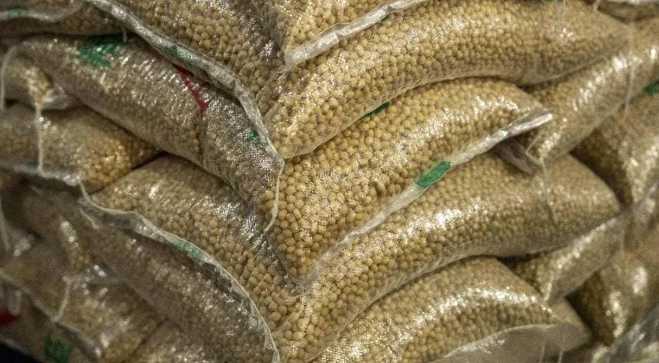 الصين تستخدم ورقة فول الصويا لاكتساب ميزة تجارية أمام أمريكا