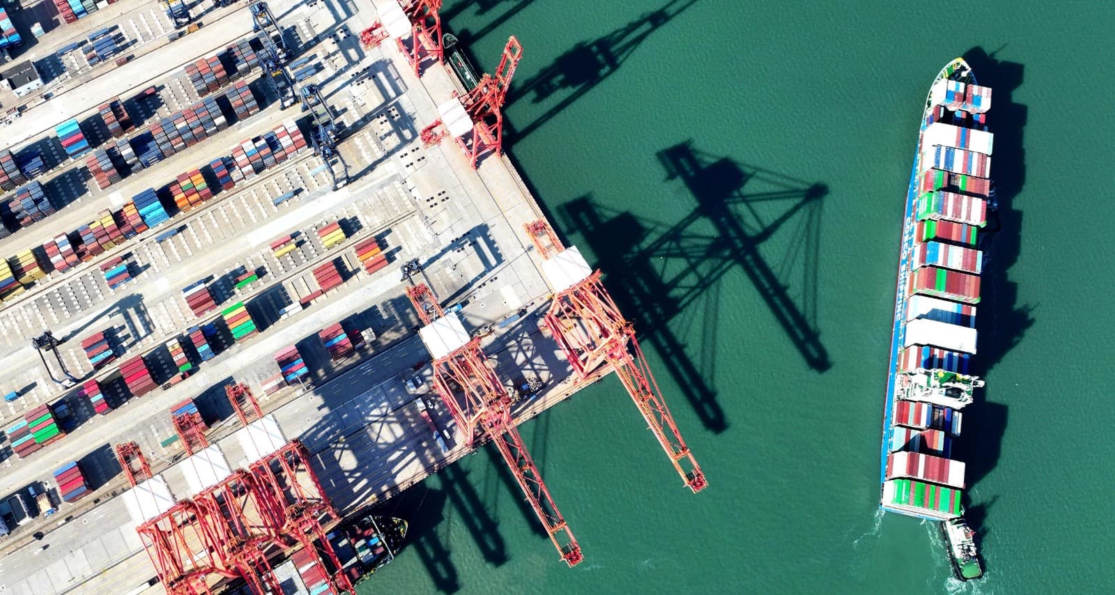 «WEF»: رؤية السعودية جهد رائد في تنويع الاقتصاد.. والشرق الأوسط نقطة مضيئة