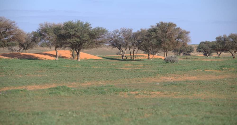 هيئة تطوير محمية الإمام تركي بن عبد الله الملكية تنضم رسميا لبرنامج "MAB"