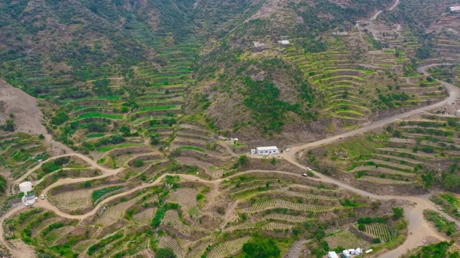 إطلاق علامة "سُلان" لإنشاء شبكة لمشاريع الضيافة في النزل الريفية والمزارع السعودية