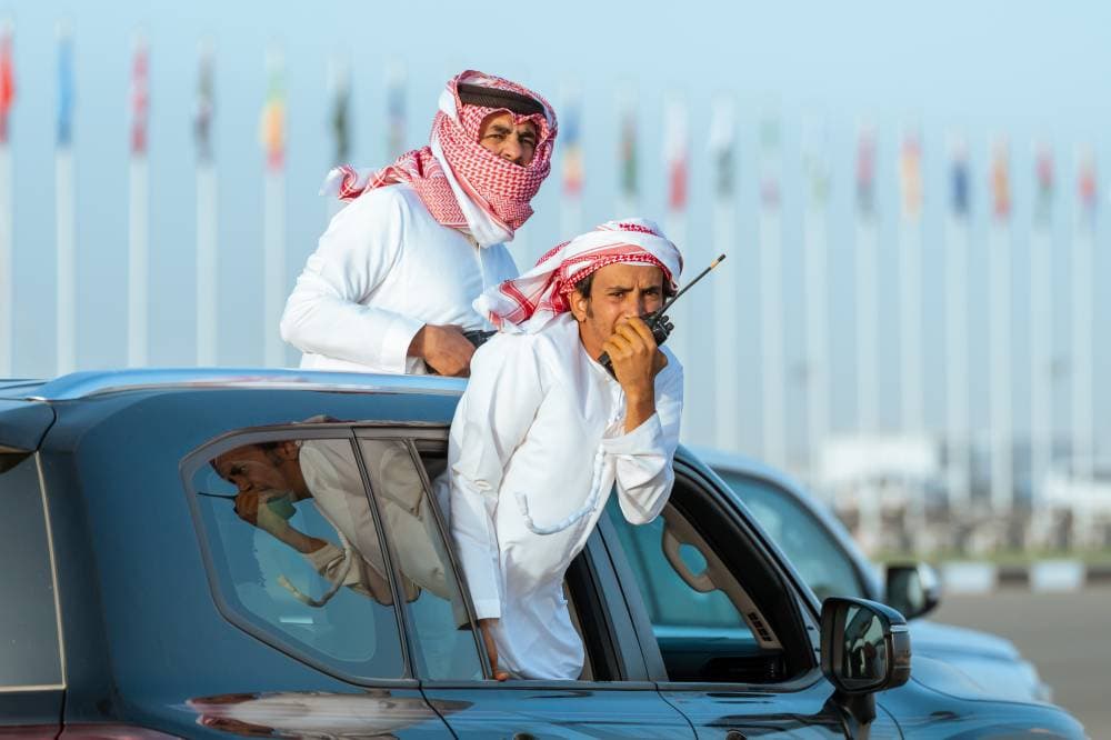 مهرجان ولي العهد للهجن يتجاوز 100 ألف مطية .. وأشواط الكؤوس تنطلق غدا