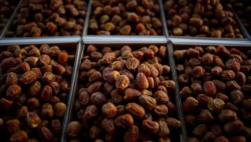 بلومبرغ: "بتيل" تدرس طرحا أوليا في السوق السعودية