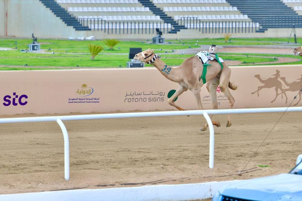 بسبب مخاطرها .. الاتحاد الأوروبي يحظر أدوية السعال السائلة