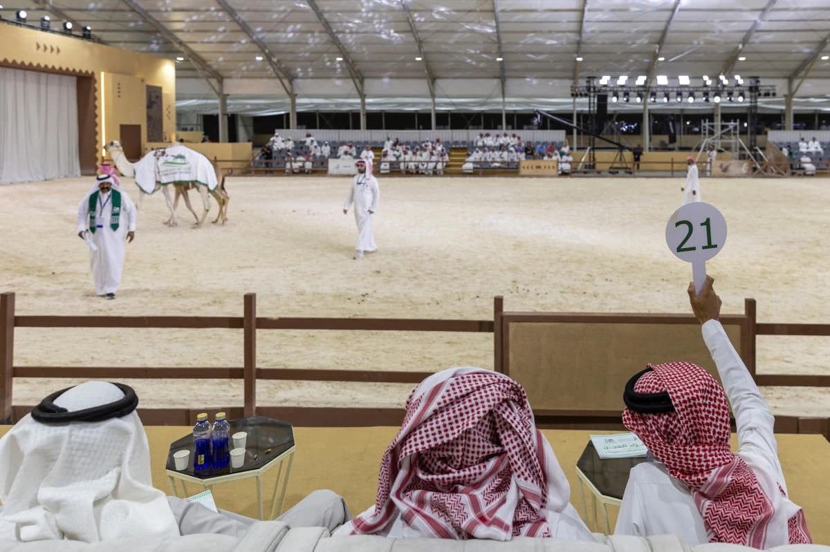الاتحاد السعودي للهجن لـ"الاقتصادية": تحقيق 1.5 مليون ريال عائد ممتاز من معرض الصقور