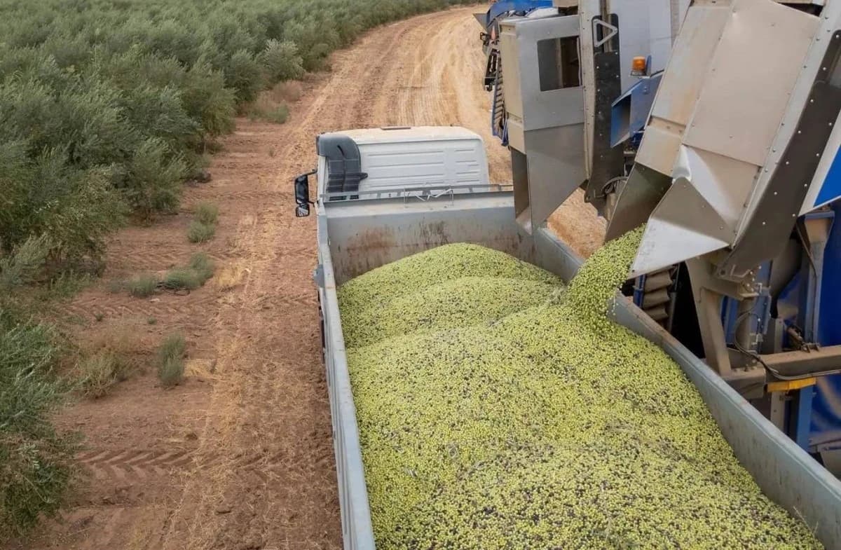 انخفاض قروض الصندوق الزراعي في السعودية 16% بنهاية الربع الثالث