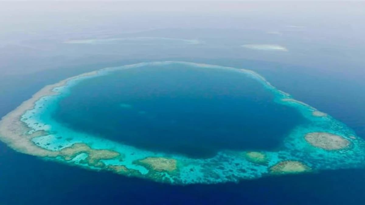 الحياة الفطرية السعودية تهيئ الإطار التنفيذي لاستثمارات السياحة البيئية في محميات البحر الأحمر