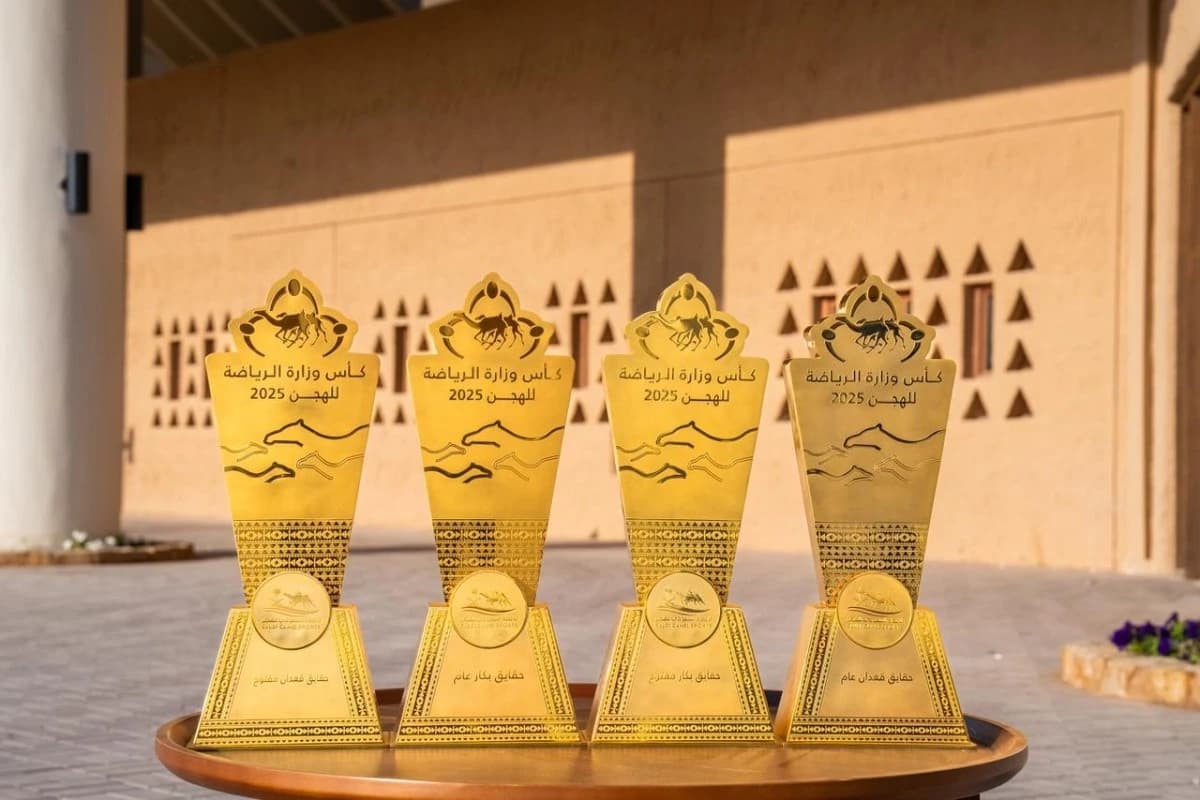 40 كأسا في ختام أشواط كأس وزارة الرياضة السعودية للهجن