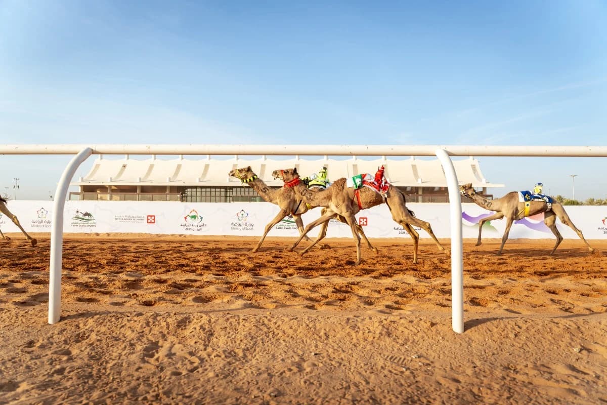 ميدان "الجنادرية" يستضيف كأس وزارة الرياضة للهجن بجوائز تبلغ 10 ملايين ريال