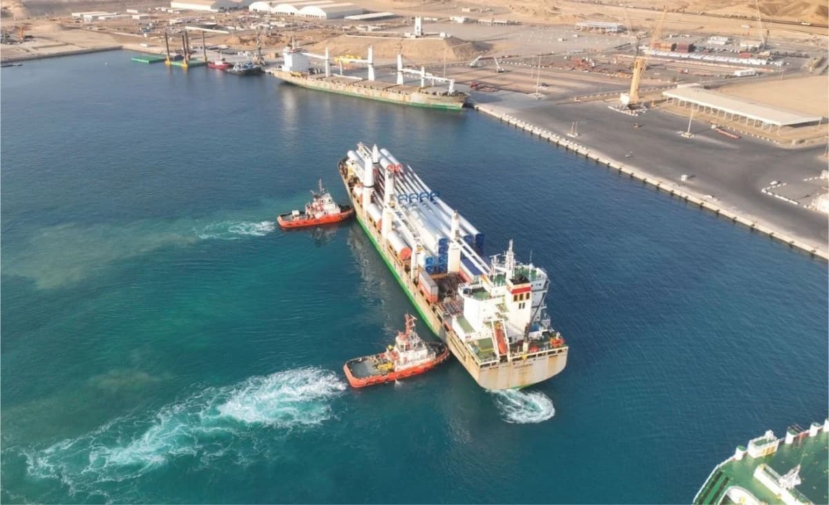 شركتان عالميتان تستهدفان تسويق وتوزيع أمونيا مشروع نيوم